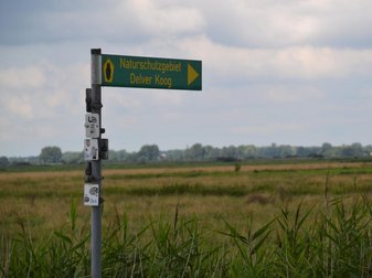 Naturschutzgebiet Delver Koog