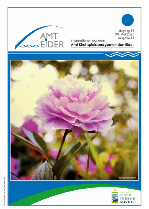Jahrgang 18 - Ausgabe 11