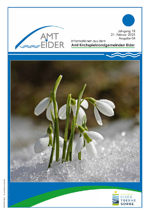 Jahrgang 18 - Ausgabe 8