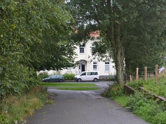 Bäume an einer Kreuzung