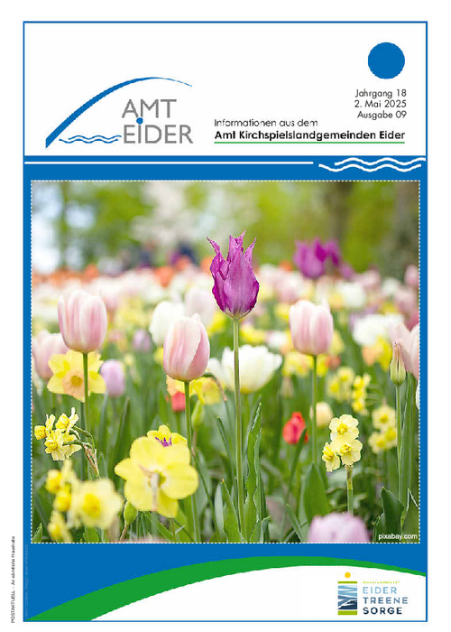 Jahrgang 18 - Ausgabe 9