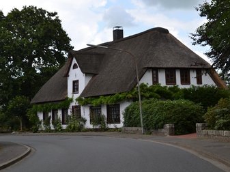 weißes, mit Pflanzen bewachsenes Reetdachhaus