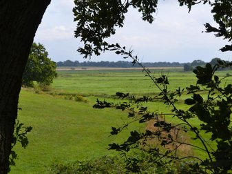 Wiese soweit das Auge reicht