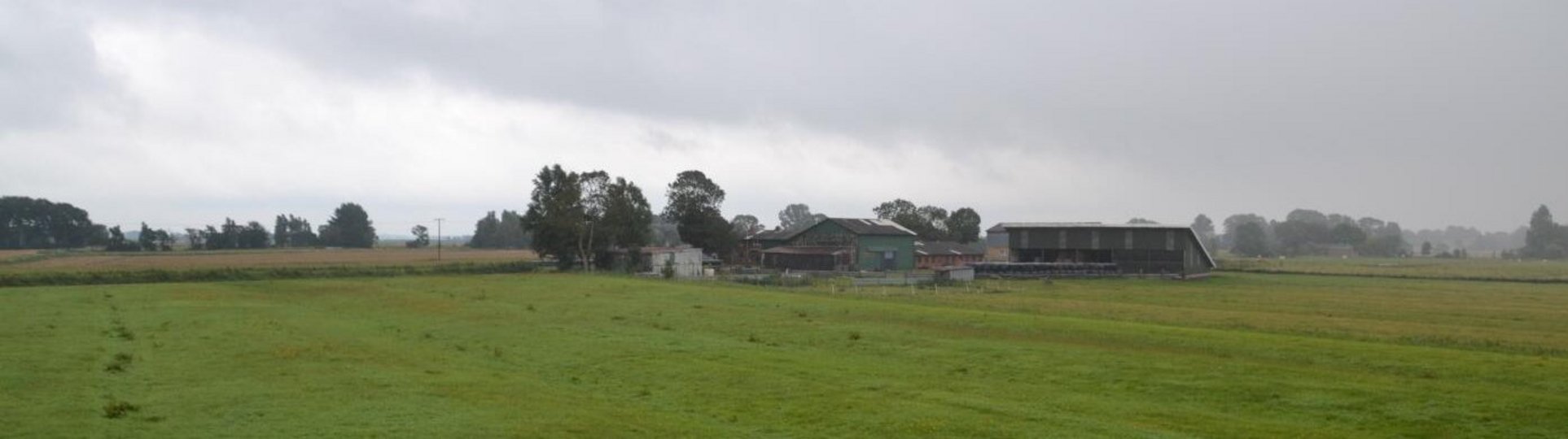 Wiese mit Betrieb im Hintergrund