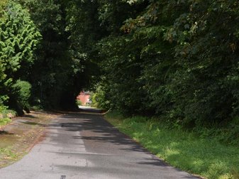 stark bewachsene Allee