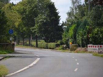 Straße mit Bäumen am Rand