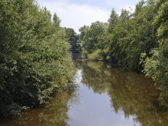 bewaldeter Fluss